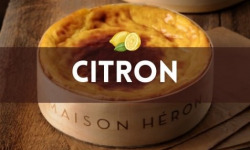 Maison Héron père et filles - Lot de 5 FLAN PARFUMÉ CITRON 10/12 PERS