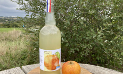 Ferme Sinsac - Pétillant de pommes