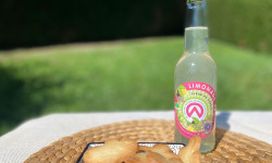 L’Echo Paysan - Limonade au Sureau Bio 33cl