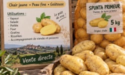 L'OLIVERAIE DU COUDON - SPUNTA PRIMEUR  5KG