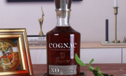 Cham B - ORACLE XO Cognac, vieilli minimum 10 ans
