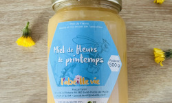 Domaine du Chillou - Miel de fleurs de printemps 1kg