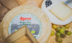 Maison Agour - Fromage de Brebis BIO - 1kg