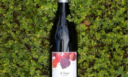 Domaine Childéric - Vin Rouge AOC Ventoux - Pas Faineants 2022
