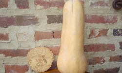 Ferme de Cernunnos - Butternut Bio