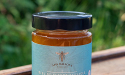 Apis Mellona - Miel de fleurs sauvages 250g