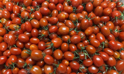 Agriloops - Tomates cerises allongées – Poly 2 kg