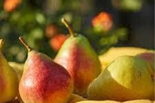 Domaine Reverchon - Poires William du Vaucluse 1Kg
