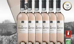 Vignobles Fabien Castaing - Rosé M des Mailleries - 6 bouteilles