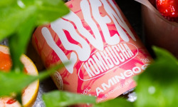 LOVEN Crew - Brasserie L'Indispensable - Kombucha Flamingo 25 (Fraise, Pomelo & Basilic) - 10x33cl