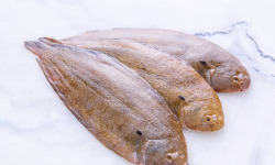 Poissonnerie La Piriacaise - sole filet de 800/1000 vidée