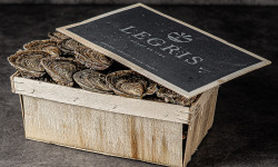 Maison Legris - Huîtres plates TRALEE TG x48