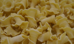 Lioravi, l'authentique pâte fraîche ! - [Précommande] Pâtes Fraîches BIO - Gigli 3x250g
