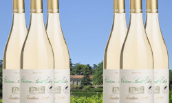 Château Saint Estève d'Uchaux - Viognier Roussanne Blanc sec Tradition 2021 AOP Côtes du Rhône BIO x6