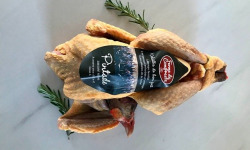 Ferme de Compreste - Pintade fermière tradition 1,6 kg