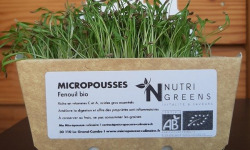 Ma Micropousse culinaire - Micro pousses de fenouil Bio 8 barquettes