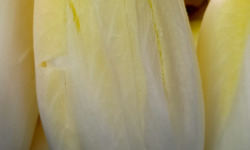 Ferme Joos - Endive - 500g