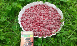 LES JARDINS DE KARINE - Groseilles rouges surgelées - 500g