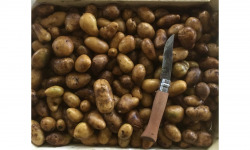 Nature et Saveurs - Ferme Aquaponique et Permacole Astérienne - Pomme de terre Grenaille - 1Kg
