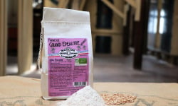 Moulins de Versailles - Farine De Grand Epeautre Intégrale Bio - 500g