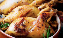 L'OLIVERAIE DU COUDON - [Précommande] COQUELET ENTIER ET SON FARCI AUX GIROLLES 600G