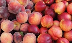 L’Oliveraie du Coudon - MIX PECHE ET NECTARINE 5KG