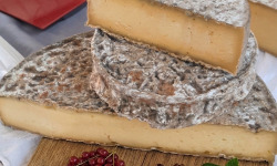 La ferme des Montigots - Tomme fermiere 500g