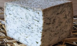 Fromagerie Saint Goal - Tomme de chèvre aux algues Bretonnes / part