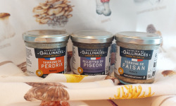 Terre de Gallie - LOT DE 3 RECETTES RILLETTES PIGEON-TERRINE FAISAN ET PERDRIX