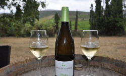 Mas De La Devèze - Côte du Roussillon AOP - Malice Blanc 2025