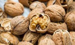 Ferme Sinsac - Noix franquette du Périgord en sachet de 250 grs