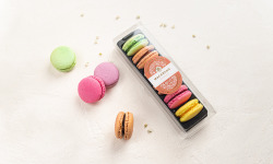 Invitation au Délice - Coffret de 06 Macarons Classiques - Lot de 4