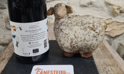 Lou Canesteou - Topless Rouge Bio Domaine Corine Depeyre