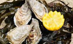 SARL O GRE DES VENTS - 24 Huitres Creuses de Normandie N2