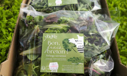Agriloops - Mélange de jeunes pousses savoureux – 2 × 500 g