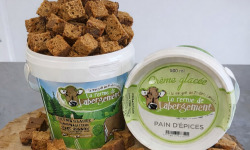 La Ferme de Labergement - Crème glacée 500 ml Pain d'épices - lot de 10 pots