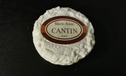 La Fromagerie Marie-Anne Cantin - Picodon AOP