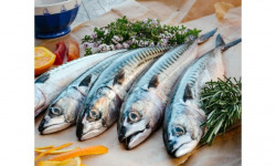 Poissonnerie Paon - Maquereau : Entier vidé, A la pièce, 200g - 400g