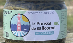 Rivesaline - Terre Saline - Pousse de salicorne au vinaigre Bio 130g