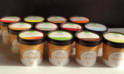 O Maribelle - Lot de 12 glaces (sorbets et crèmes glacées) 125 ml