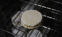 Alléosse Maitre Artisan Affineur Fromager - Saint Félicien moulé à la main au lait cru