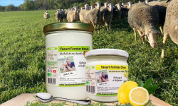 Dessine moi une brebis - Yaourt Brebis Nature 780g + 320g Citron