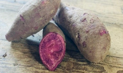 Langevine - PATATE DOUCE SAKURA 1KG