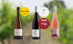 Domaine de la Chopinière du Roy - Coffret cadeau découverte vins de Loire Apéro Ligérien (vin rouge, blanc et rosé) - 3 x 75 cl