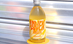 Brasserie L'Indispensable LOVEN Kombucha - Kombucha Ginger (gingembre cardamome) - 10x33cl