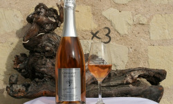 Domaine de la Chopinière du Roy - Lot de 3 bouteilles de Crémant de Loire Rosé Dry, Fines Bulles et Fruité AOP - 3x75 cl