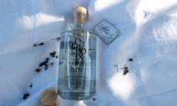 Alcools Vivant - Gin Decroix Bio 70cl