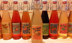 Les Vergers de la Vautée - Sirop d'Ombelles de Sureau 25cl