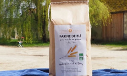 La Ferme du Relais - Farine de Blé BIO - Bise T80 12 x 1 kg