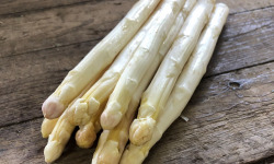 Langevine - Asperge Blanche - 2kg